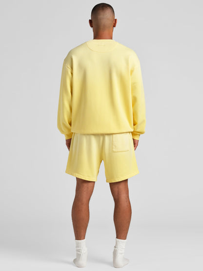Sunwashed Shorts