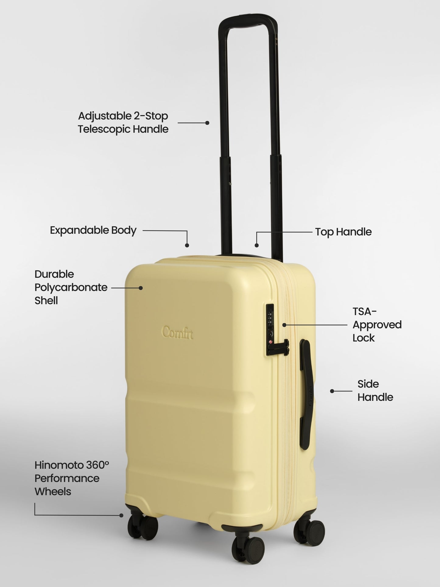 Carry-On Companion Luggage
