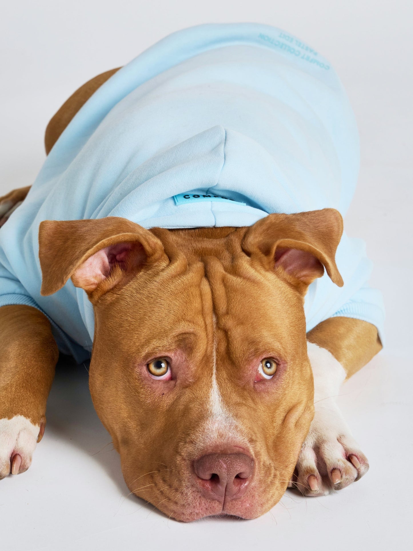 Pastel Paw Hoodie