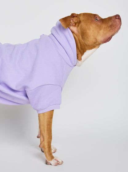 Pastel Paw Hoodie
