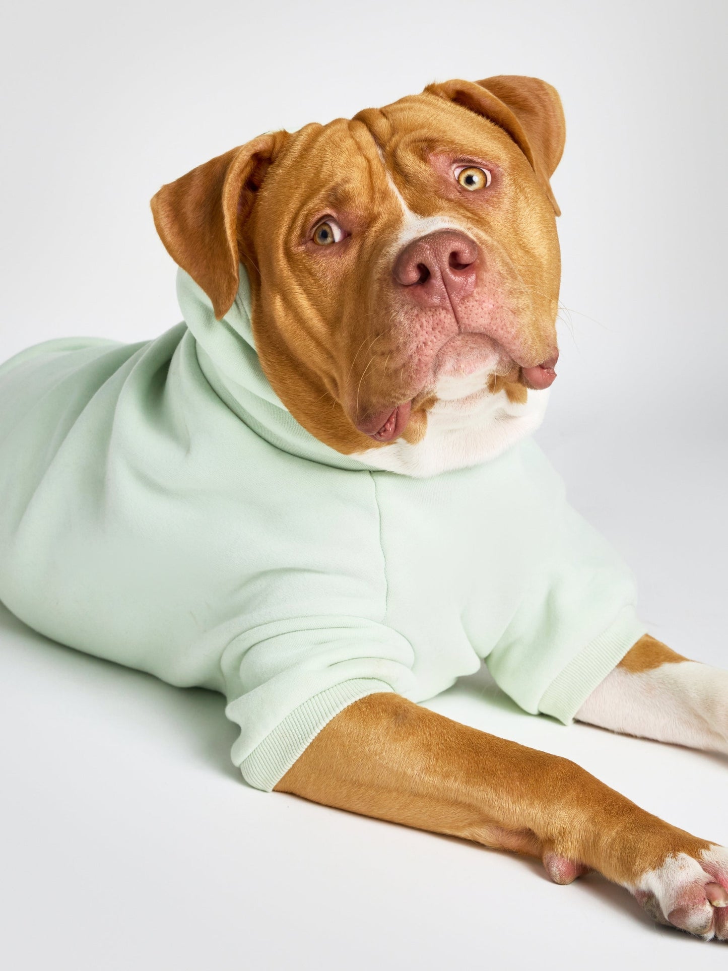 Pastel Paw Hoodie