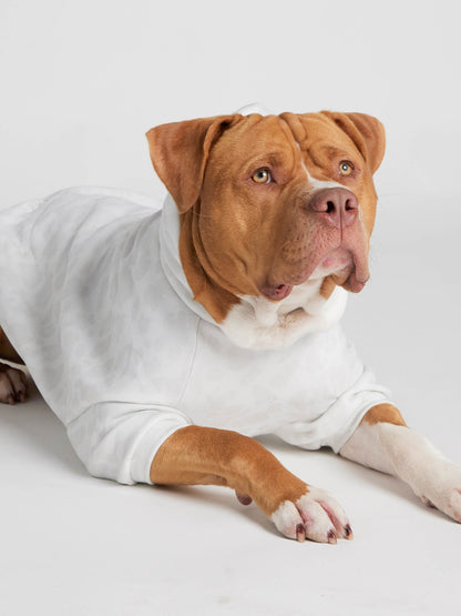 Minimalist Paw Hoodie