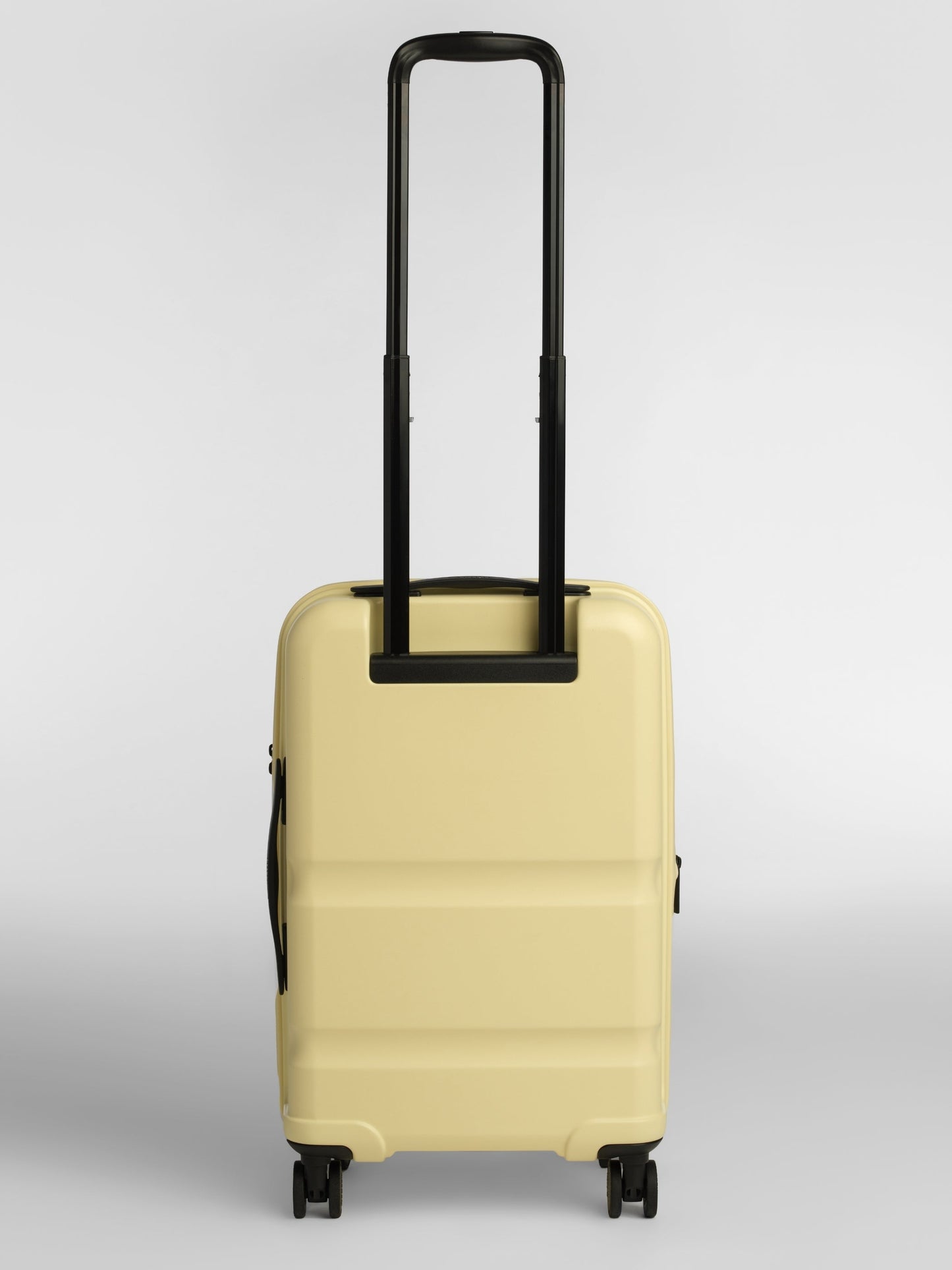 Carry-On Companion Luggage